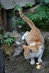     
: IMG_4354.jpg
: 10
:	93.5 
ID:	6860274