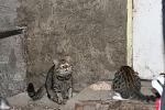     
: IMG_4367.jpg
: 7
:	93.1 
ID:	6860311