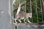     
: IMG_4370.jpg
: 7
:	83.5 
ID:	6860320