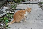     
: IMG_4375.jpg
: 8
:	95.5 
ID:	6860334
