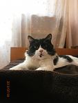     
: P7300037.jpg
: 17
:	52.8 
ID:	6862495