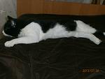     
: P7300019.jpg
: 33
:	76.9 
ID:	6862497