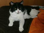     
: P7300018.jpg
: 62
:	90.5 
ID:	6862499