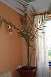     
: DSC_0185.jpg
: 3
:	75.7 
ID:	6863697