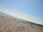     
: P9170360.jpg
: 14
:	130.2 
ID:	6864799