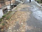     
: IMG_1616.jpg
: 8
:	219.0 
ID:	6865532