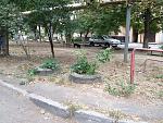     
: IMG_1546.jpg
: 8
:	260.3 
ID:	6865534