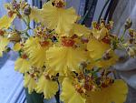     
: 2013-09-17 14.50.45.jpg
: 9
:	120.4 
ID:	6866130