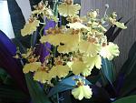     
: 2013-09-17 14.44.09.jpg
: 12
:	127.3 
ID:	6866134