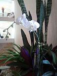     
: 2013-09-17 14.46.03.jpg
: 10
:	80.9 
ID:	6866184