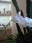     
: 2013-09-17 14.47.21.jpg
: 14
:	65.6 
ID:	6866187