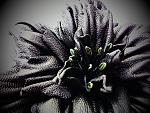     
: mL-96b7Hk_8.jpg
: 9
:	199.7 
ID:	6867051