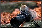     
: 155495_278029.jpg
: 5
:	50.7 
ID:	6868074