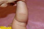     
: IMG_2270.jpg
: 37
:	44.4 
ID:	6871472
