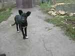     
: манюни4.jpg
: 6
:	196.5 
ID:	6872488