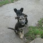     
: манюни.JPG
: 10
:	179.5 
ID:	6872490
