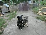     
: манюни5.jpg
: 4
:	209.5 
ID:	6872491