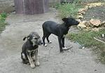     
: манюни3.JPG
: 6
:	235.6 
ID:	6872497