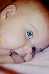     
: IMG_2264.jpg
: 16
:	42.3 
ID:	6875182