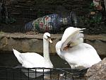     
: IMG_5424.jpg
: 7
:	141.5 
ID:	6879986