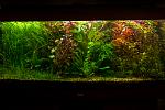     
: DSC_8479.jpg
: 19
:	101.4 
ID:	6880465