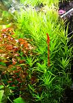     
: DSC_4874.jpg
: 13
:	160.3 
ID:	6880813