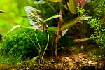     
: DSC_8401.jpg
: 16
:	107.1 
ID:	6880936