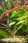     
: DSC_6608.jpg
: 14
:	91.3 
ID:	6880937