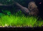     
: DSC_7753.jpg
: 21
:	183.2 
ID:	6881077