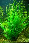     
: DSC_4520.jpg
: 15
:	137.7 
ID:	6881094