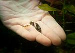     
: DSC_8475.jpg
: 15
:	50.9 
ID:	6881202