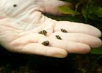    
: DSC_8476.jpg
: 18
:	48.1 
ID:	6881218