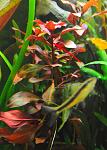     
: DSC_4877.jpg
: 16
:	90.3 
ID:	6881272