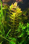     
: DSC_8380.jpg
: 18
:	103.7 
ID:	6881342