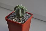     
: DSC_0727.jpg
: 13
:	64.2 
ID:	6882625