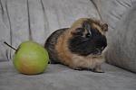     
: DSC_1163.jpg
: 12
:	85.9 
ID:	6882913