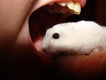     
: DSC09218.jpg
: 45
:	77.1 
ID:	688433