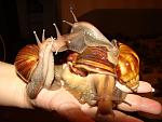     
: DSC09148.jpg
: 52
:	109.0 
ID:	688441