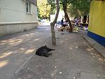     
: IMG_1405.jpg
: 43
:	173.1 
ID:	6887120