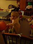     
: DSC08009.jpg
: 20
:	66.1 
ID:	6890877
