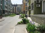     
: IMG_2905.JPG
: 61
:	274.3 
ID:	6893694