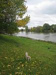     
: IMG_7473.jpg
: 24
:	132.5 
ID:	6901489