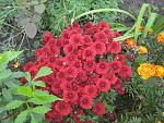     
: IMG_7583.jpg
: 15
:	241.7 
ID:	6901495