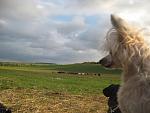     
: IMG_7649.jpg
: 29
:	126.1 
ID:	6902290