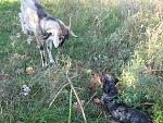     
: IMG_7362.jpg
: 27
:	301.7 
ID:	6902291