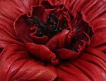     
: 4ouV5wJzCnE.jpg
: 8
:	200.7 
ID:	6905769