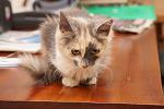     
: DSC08913.jpg
: 6
:	94.1 
ID:	6906283