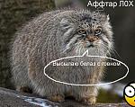     
: 174593_m.jpg
: 13
:	58.8 
ID:	6907176