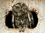     
: фотографии-жив&#10.jpg
: 7
:	121.6 
ID:	6908373