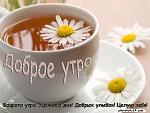     
: 806414.jpg
: 16
:	128.2 
ID:	6909012